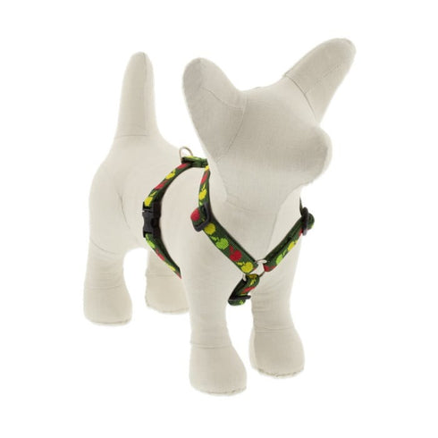 Lupine MicroBatch Roman Dog Harness 1/2" x 9"-14" Apple Season - Poudre Pet & Feed Supply